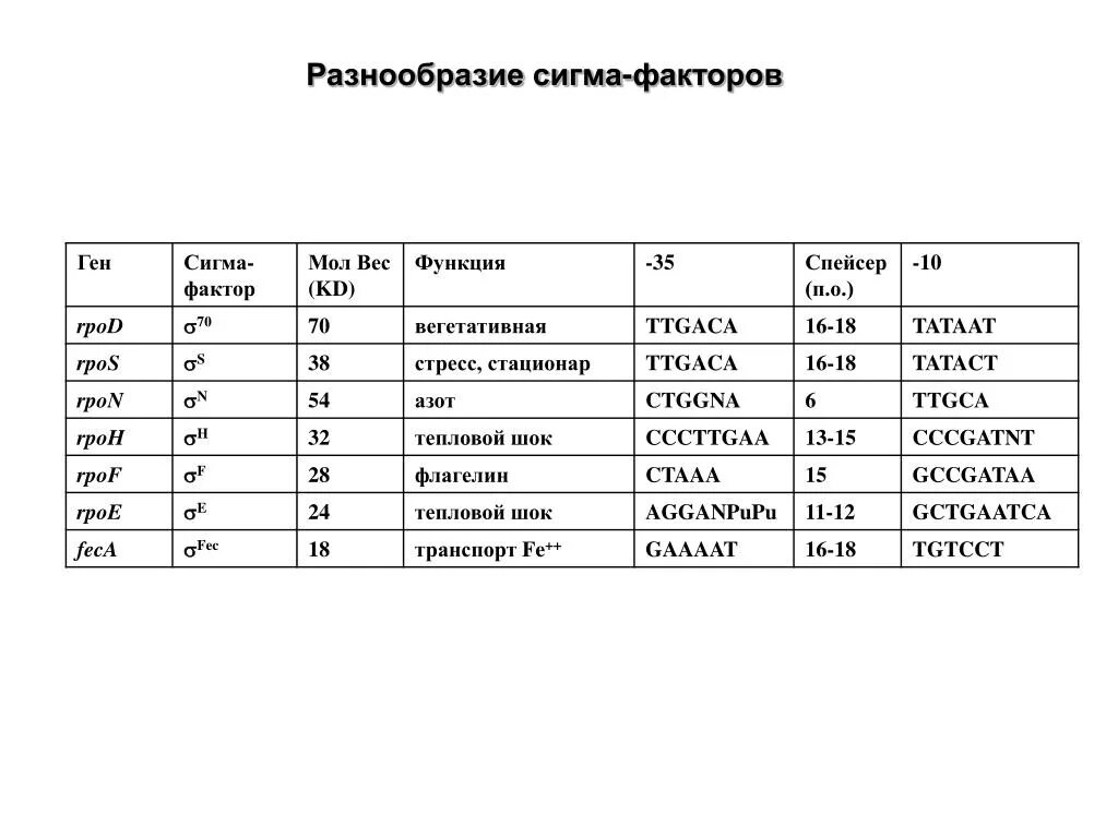 Сигма фактор. Сигма фактор функции. Сигма фактор транскрипции. Сигма фактор у бактерий. Ижевск кинотеатр россия афиша расписание и цены