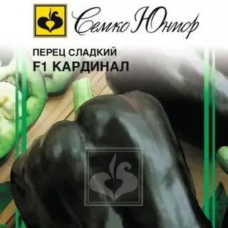 Перец сорт пилот отзывы