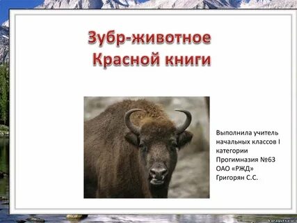 Зубр занесен в красную