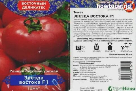 Звезды сибири отзывы
