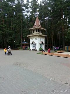 Домодедовский парк елочки