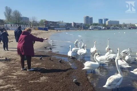 Вода приморско ахтарск