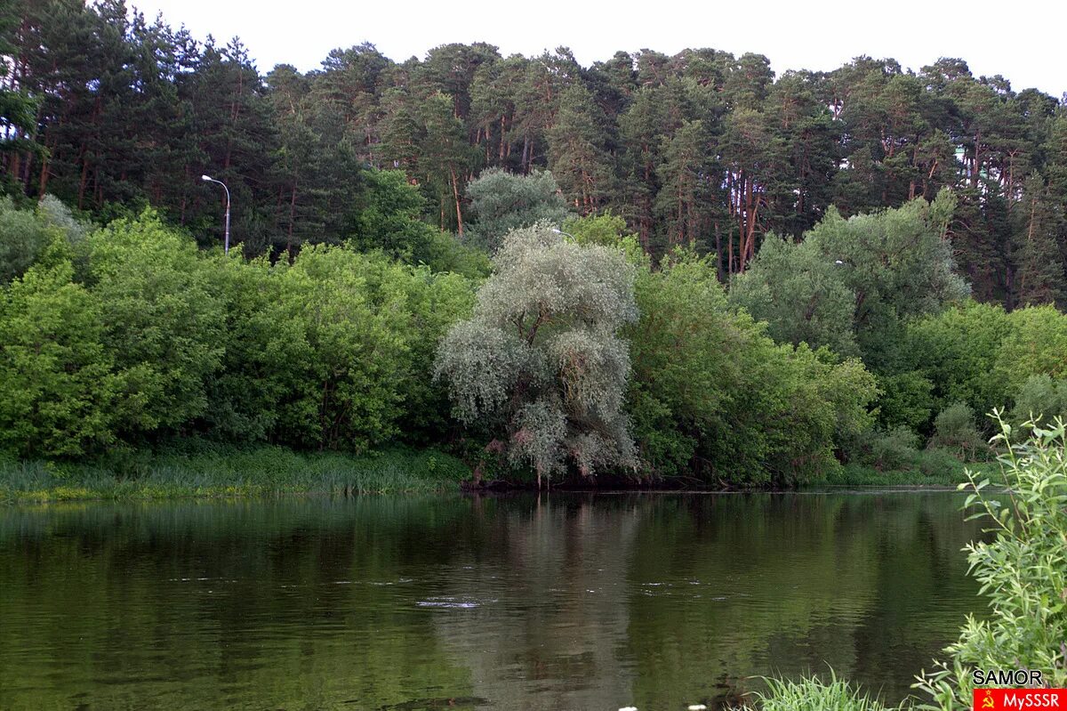 москва река под звенигородом. подмосковная швейцария звенигород. вода в москве реке звенигород. лесные реки в одинцовском районе московской. звенигород набережная москвы реки.