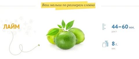 11 недель беременности фрукт