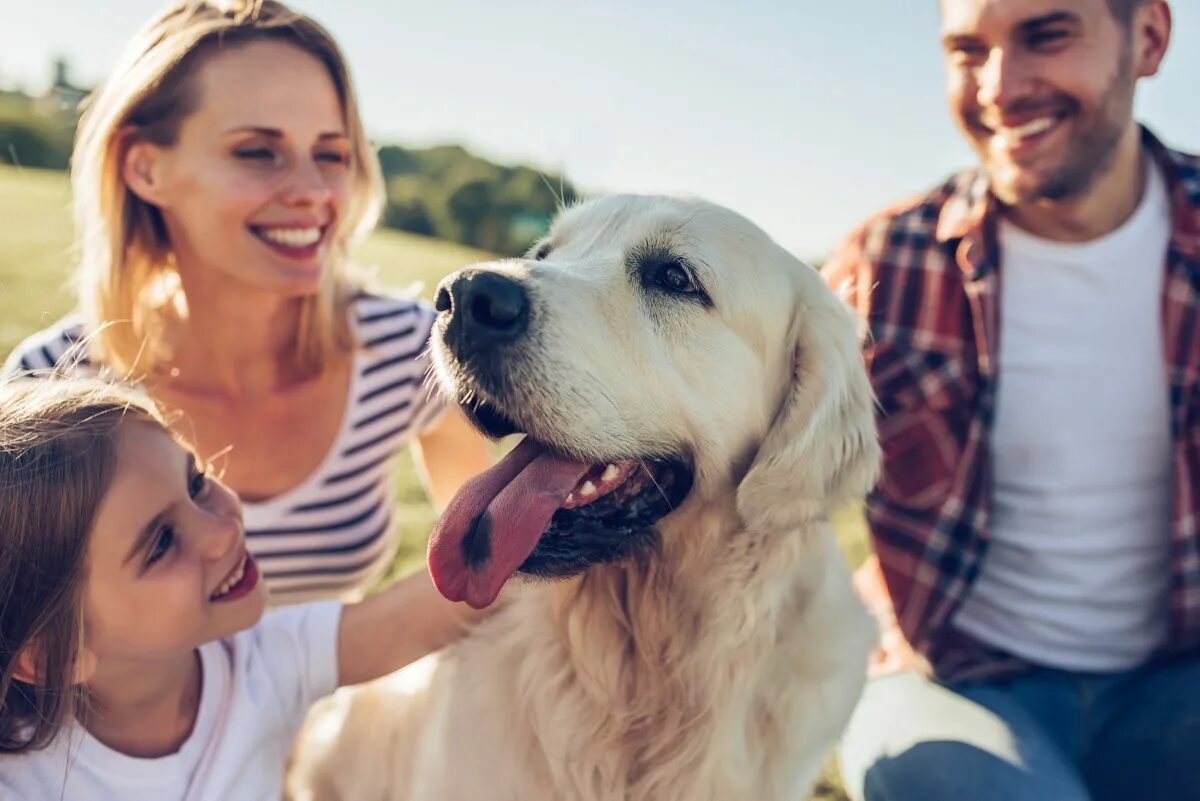 Photo pet. Счастливая семья с собакой. Счастливый человек с собакой. Семья. Домашние животные. Домашние животные и человек.