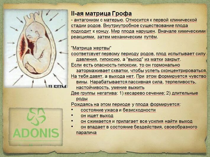 Матрица грофа психология. 4 перинатальные матрицы грофа. матрица грофа рождения.