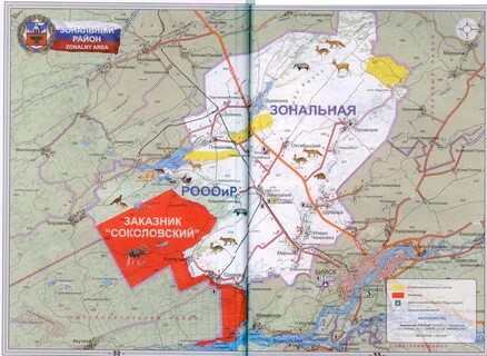 Явка в алтайском крае