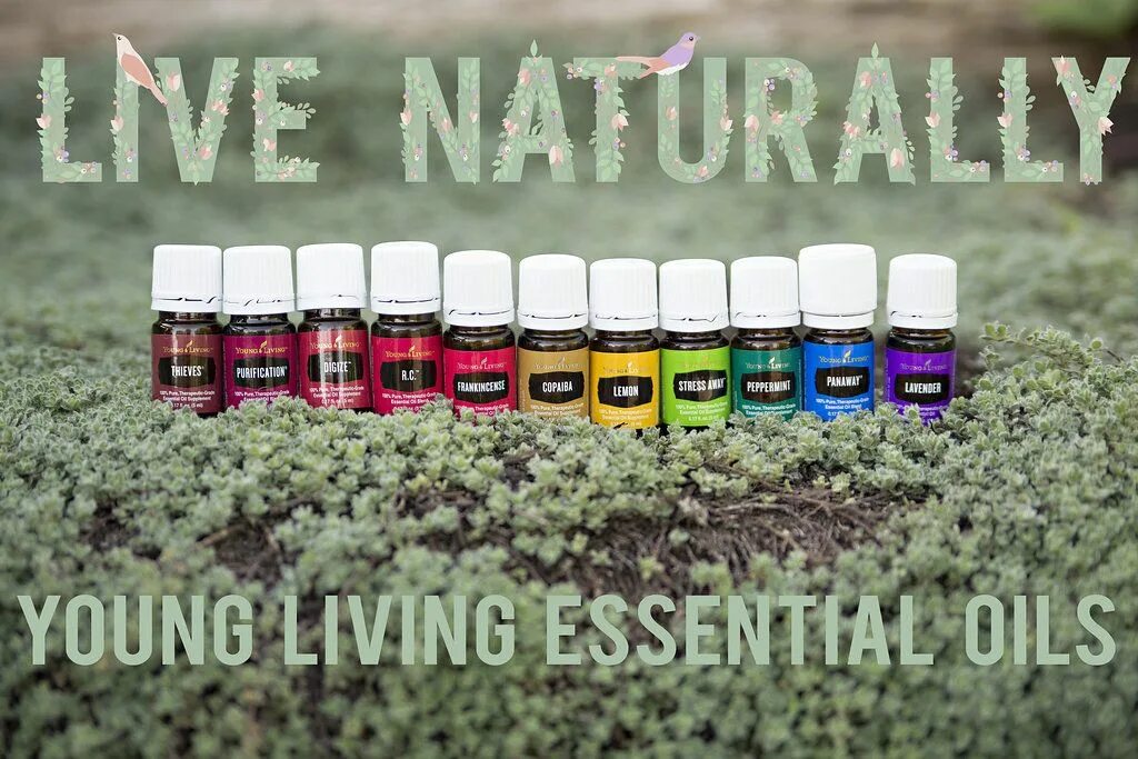 2 live natural. Live naturally. O'Live. O Live naturelle. Naturally yours Inc.