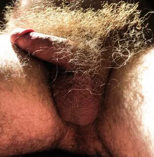 Фото Волосатых Членов Мужчин - Telegraph.