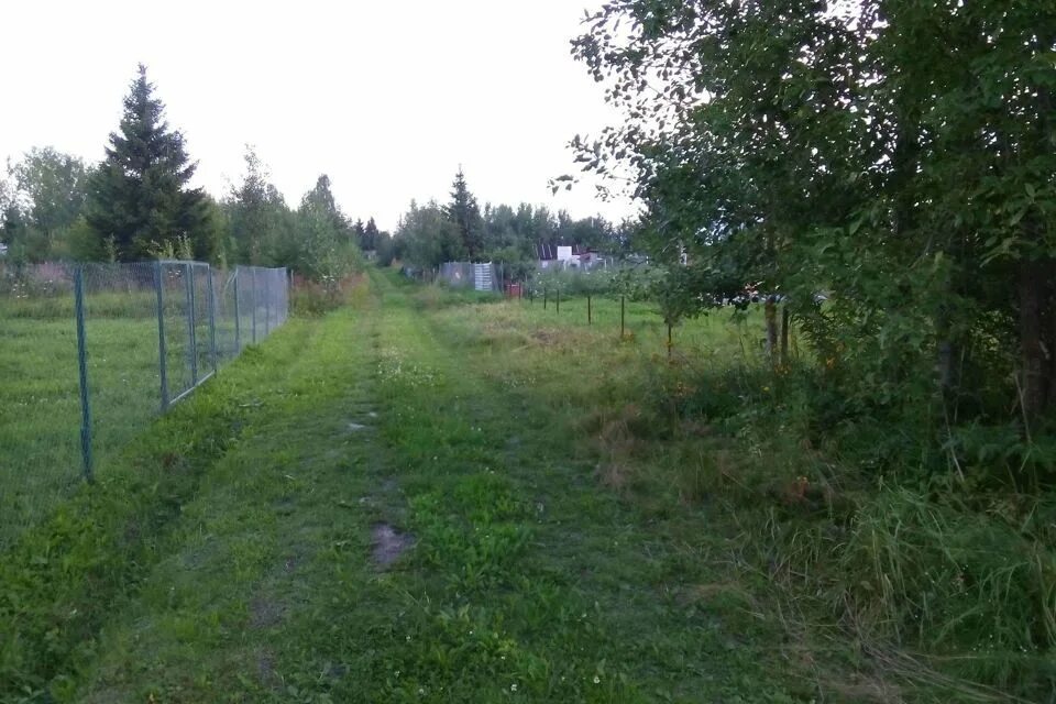 Ваша дача вологда. Дача снт восток 2. На даче 18. Доронино вологда. Снт комела вологда.