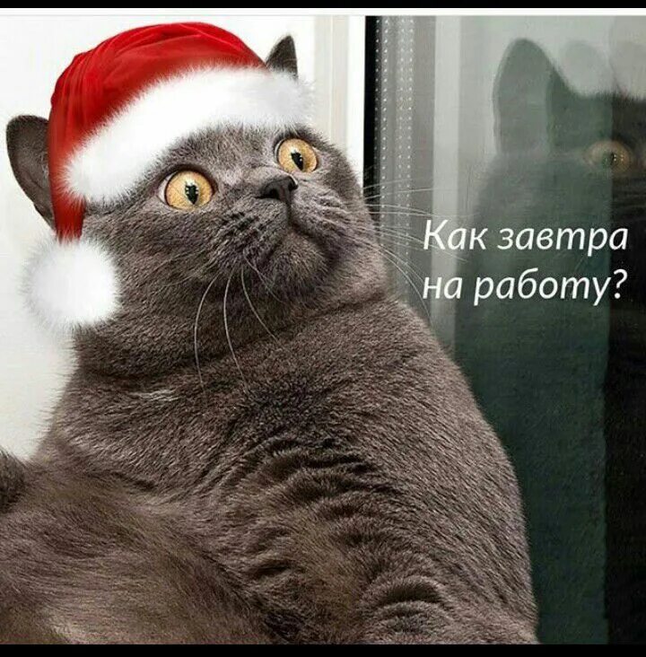 Когда выходить на работу после новогодних выходных. Когда выходить на работу после новогодних выходных