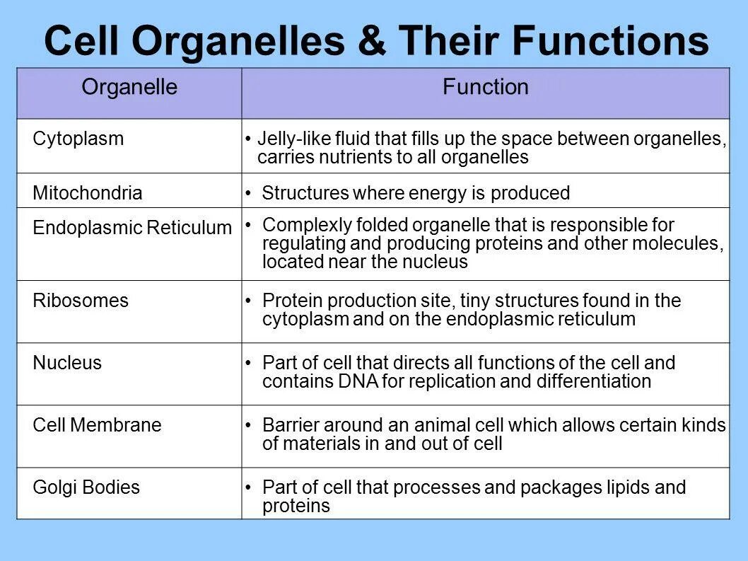 Functioning posts. Cell organelles and their functions. Cell structure and functions of organelles. Organelles of Cell function. Cell organelles structure and their functions.