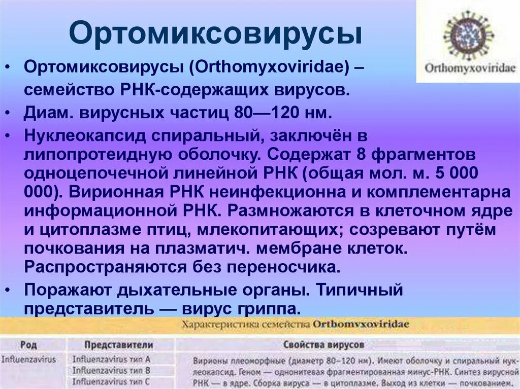 Орви таксономия. Строение вириона парагриппа. Классификация возбудителей орви. Орви таксономия. Классификация вируса гриппа.