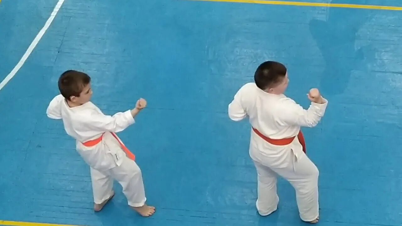 Каратэ 8 кю. Каратэ 8 кю синий пояс. сдача на 8 кю каратэ. экзамен на 8 кю киокушинкай. кихон на синий.