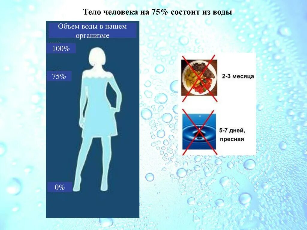 Человек на 75 состоит из воды. Организм человека состоит из. Тело человека состоит. Из чего состоит человек. Тело человека состоит из воды.