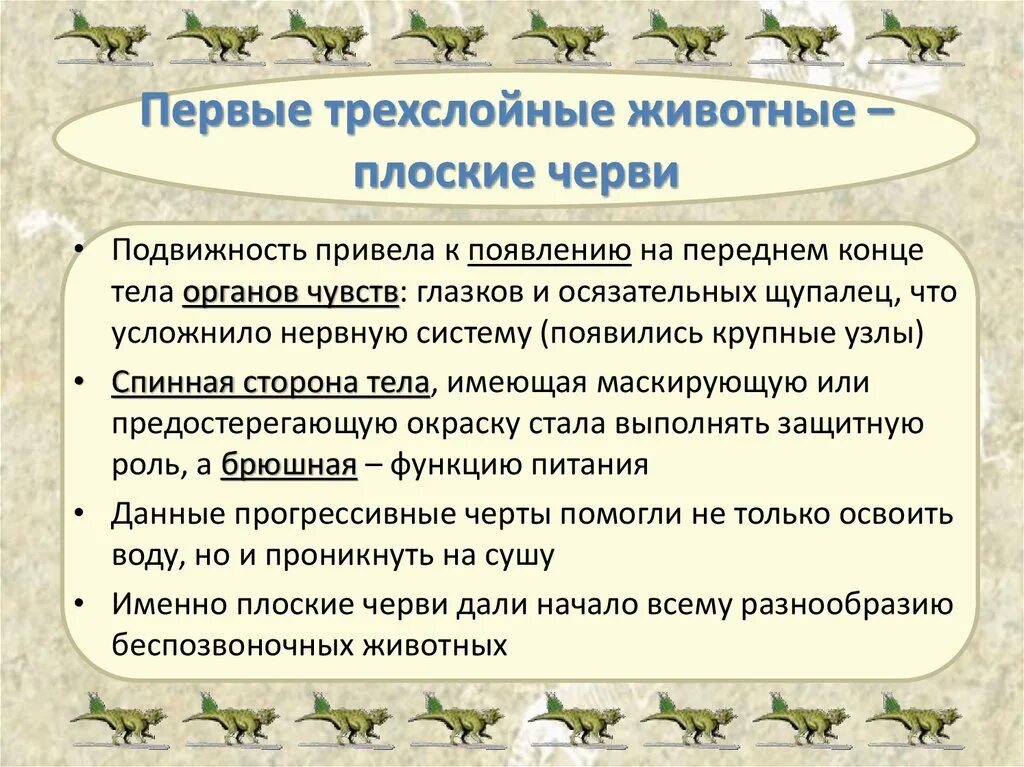 Трехслойные животные это. Плоские черви трехслойные животные. первые трехслойные животные. черви трехслойные животные. плоские черви являются трёхслойными животными.