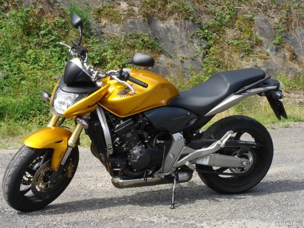 Honda CB 600 Hornet 2007. Honda CB 600 Hornet. Honda cb600f Hornet. Honda Hornet 600 2007. Мотоцикл honda hornet