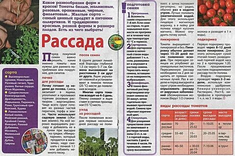 2024 помидоры на рассаду рб
