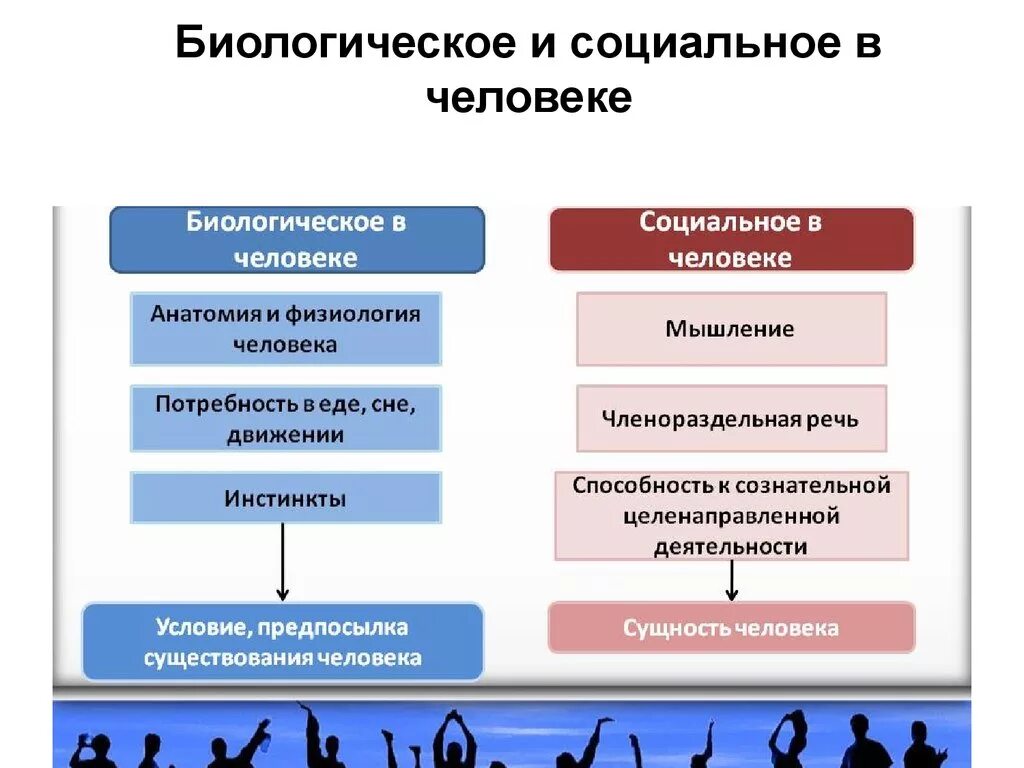 Биологические и социальное тест. Биологическое и социальное в человеке. Бтологическое и сочиальное в человек. Биологическое и социальное в человеке кратко. Биологическое и социальное в человеке Обществознание.