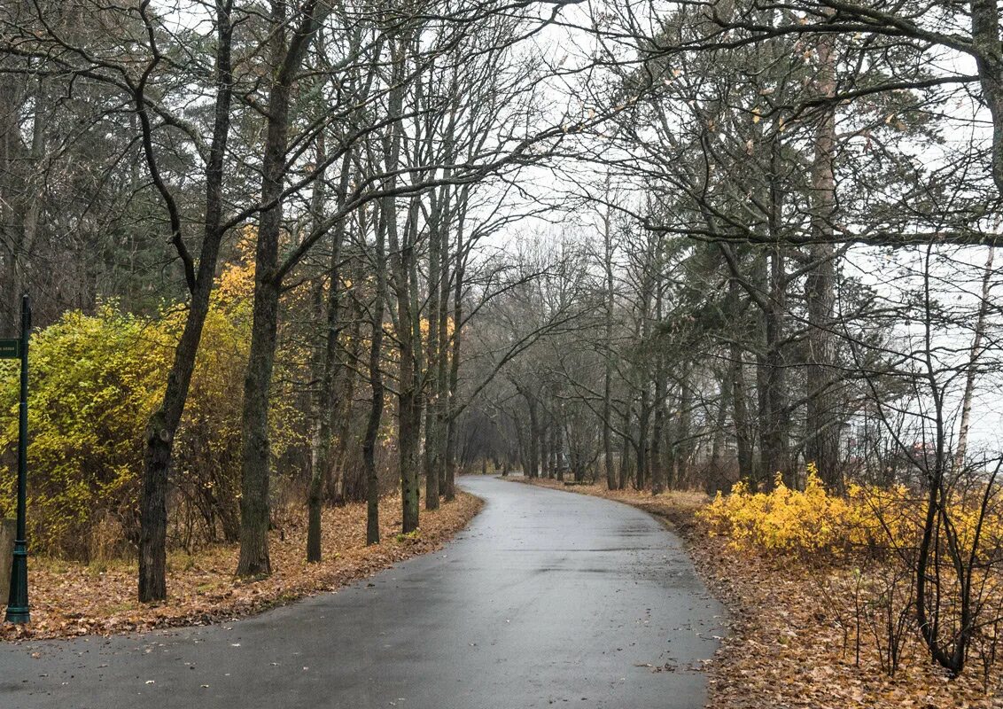 Парк пасмурно. Пасмурный парк. Пасмурная осень в парке. Пасмурно в парке. Пейзаж парк пасмурно.