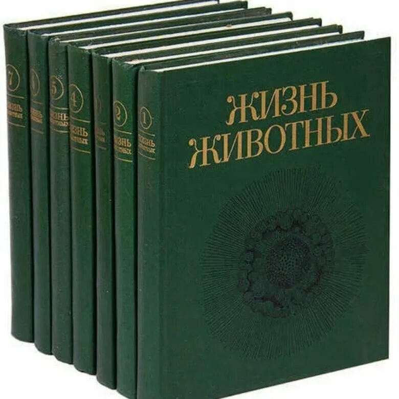 7 книг интернет