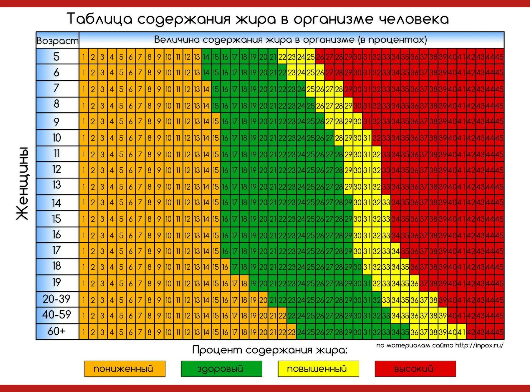 Как определить вес мужчины по росту. Таблица расчета процентного содержания жира в организме. Процент жира в организме мужчины таблица. Норма содержания жира в организме женщины в процентах. Норма жировой массы у мужчин в процентах.