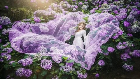 Сирень как невеста стояла вся в белом