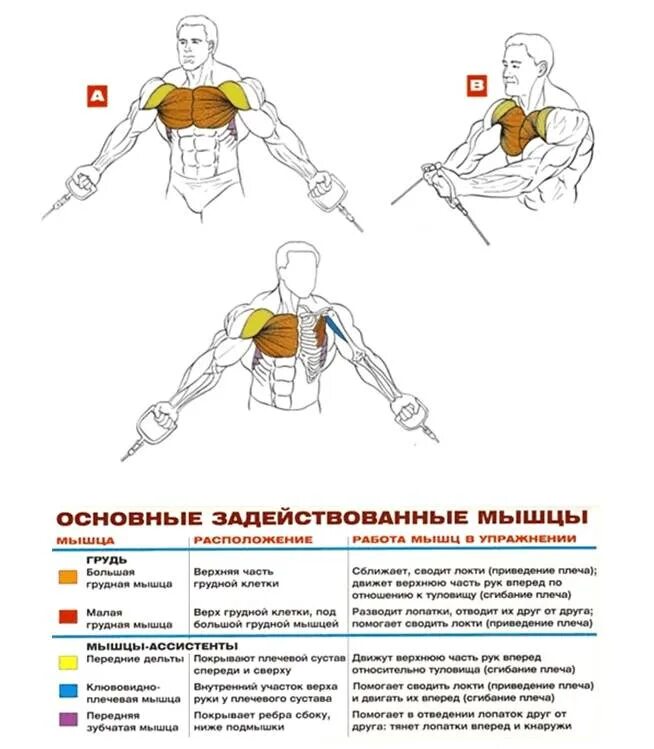 Упражнения для рук и грудных мышц. Кроссовер снизу на грудные. сведение рук в кроссовере снизу вверх. тяга блока снизу на грудные мышцы. тяга в кроссовере на грудные мышцы снизу.