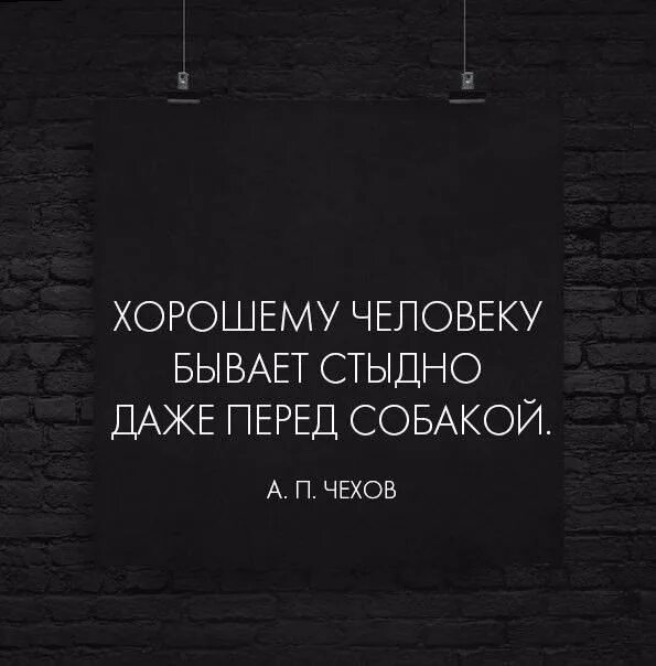 Собакам бывает стыдно. Доброму человеку бывает стыдно даже перед собакой. Хорошему человеку стыдно даже перед собакой. Культурному человек бывает стыдно даже перед собакой.