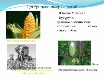 Культурные растения южноамериканского центра