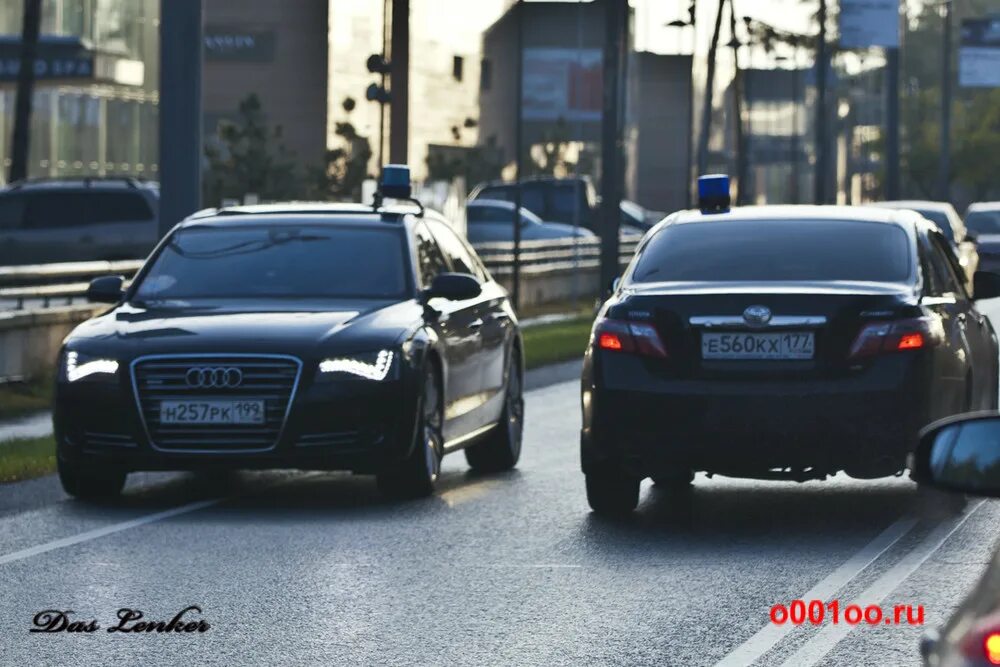 Минфин 256н
