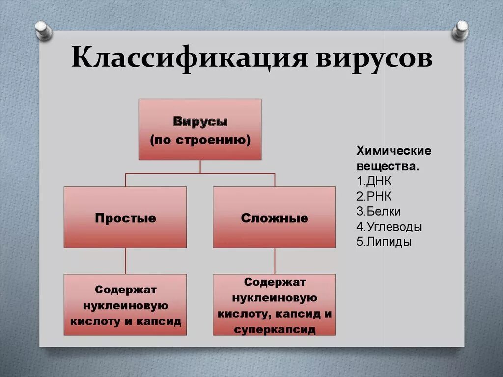 Виды противников. Вирусы строение и систематика. Строение и классификация вирусов. Принципы классификации вирусов микробиология. Классификация вирусов по строению.