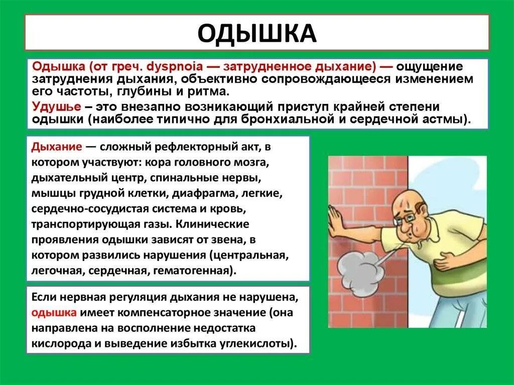 Одышка при минимальной нагрузке. Одышка. одышка причины. отдышка это в медицине. otdischka.