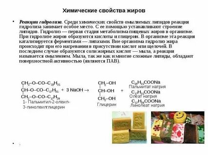 Жиры ускоряют химические реакции