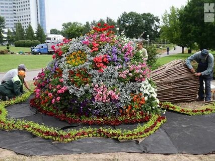 Клумба букеты