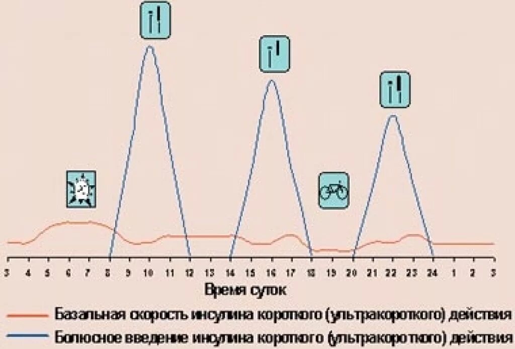 Инсулин в течении дня. Выброс инсулина. Физиологический выброс инсулина. Базально болюсное Введение инсулина. График выработки инсулина суточный.