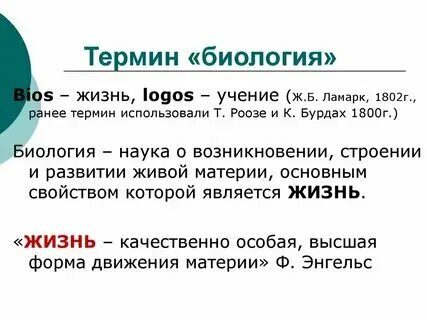 Ними что такое термины и