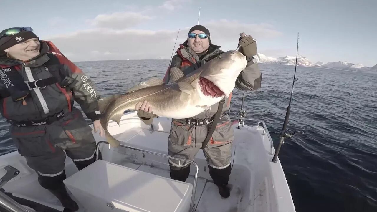 Палтус Баренцево море. Баренцево море. Морская рыбалка треска. Палтус Териберка. Морская рыбалка на Кольском полуострове.