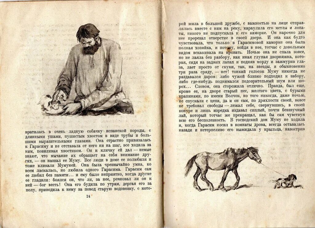 желтая собака. старый пес желтого цвета с бурыми крапинами. рыжая дворняжка. золотистый ретривер. рыжая собака дворняга.