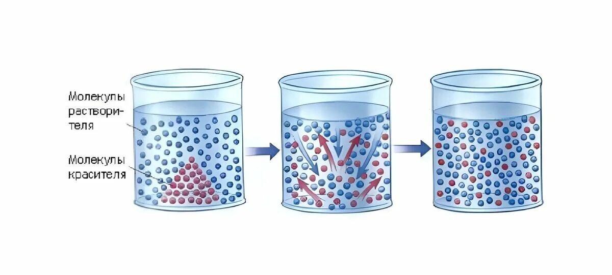 Процесс диффузии схема. Диффузия формула 7 класс. Диффузия определение и примеры. Диффузия в жидкостях.