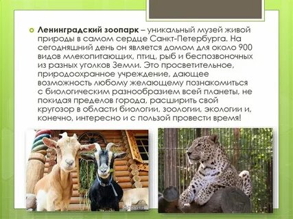 Московский зоопарк факты