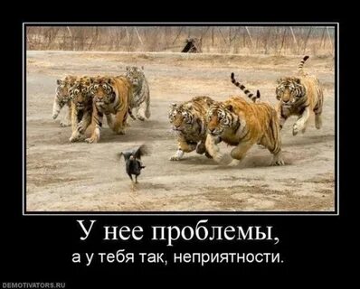 А у тебя есть вот такие