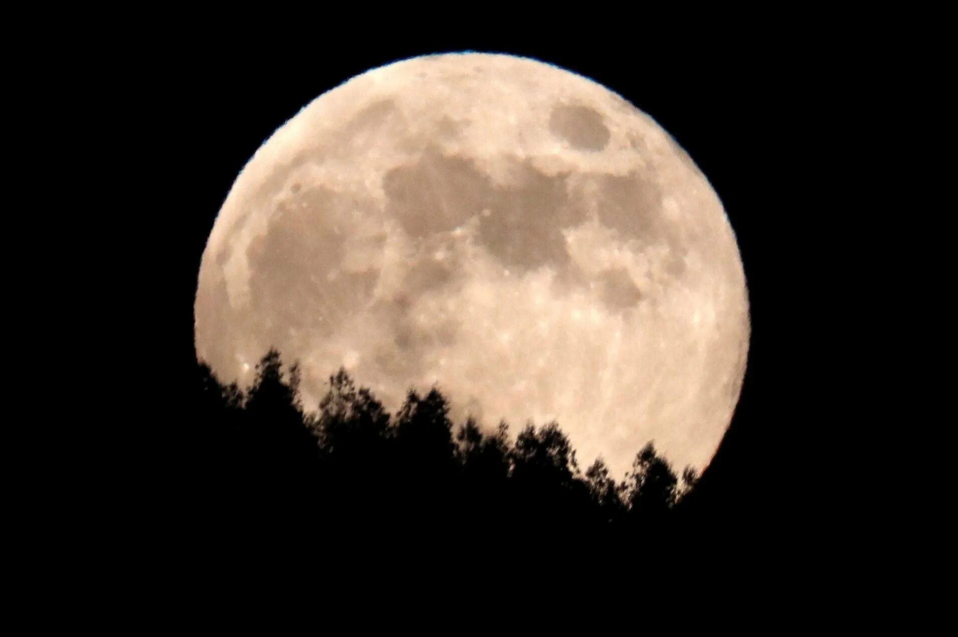 La luna falsa на русском. Луна. Луна крупно. Луна полнолуние. Страшная Луна.