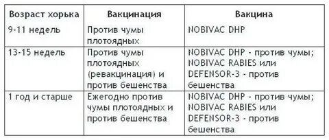 Можно глистогонить после прививки