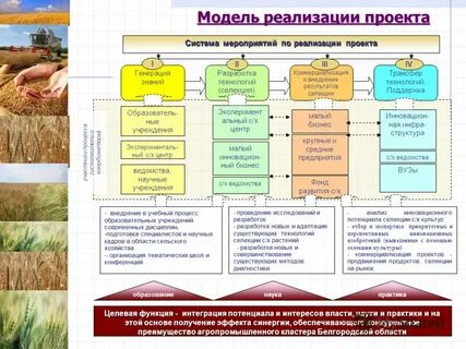 Подбор культур