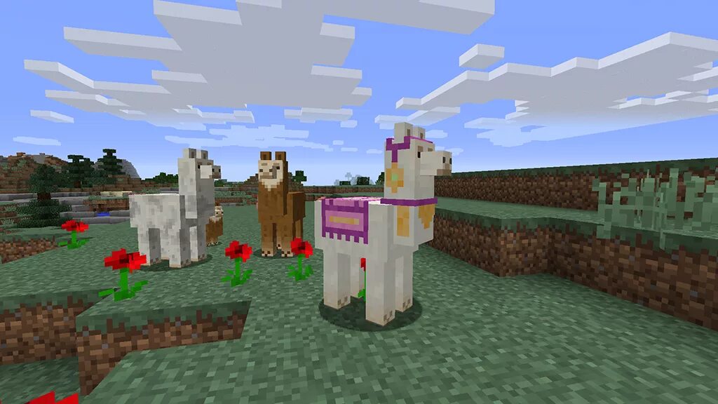 Minecraft 11 net