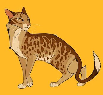 Коты воители пятнистый