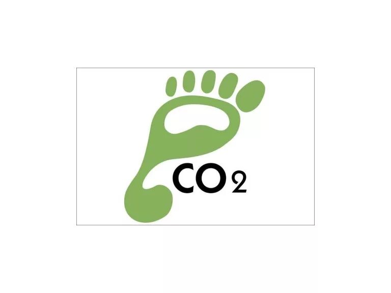 Your carbon footprint. Углеродный след. carbon footprint. what is a carbon footprint. снижение углеродного следа.