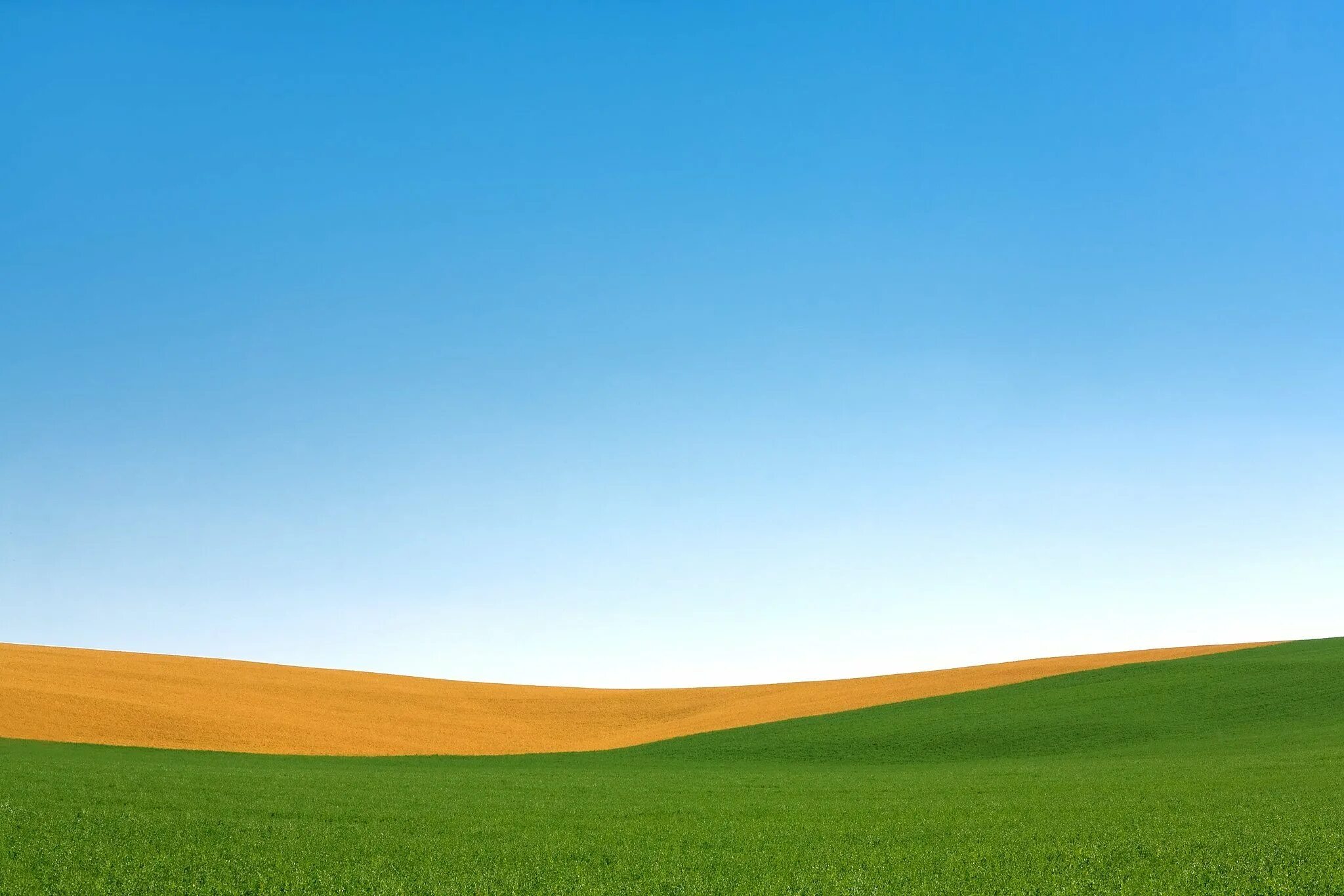 Поля в презентации powerpoint. Презентация в powerpoint. Интерфейс программы. Структура окна повер поинт. Как делать графики в повер поинте.