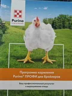 Пурина для бройлеров